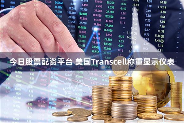 今日股票配资平台 美国Transcell称重显示仪表